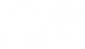 Stora ljudbokspriset logo